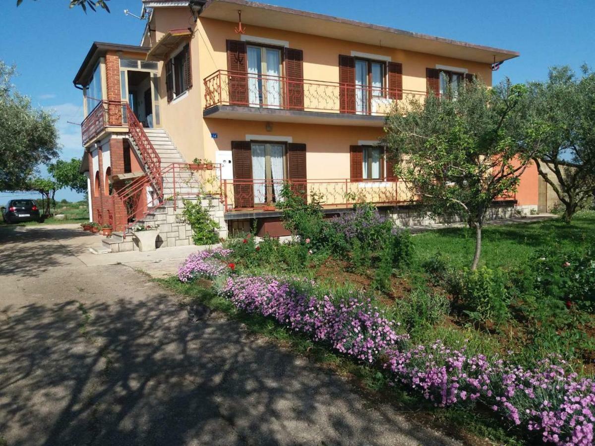 Apartman Dea Crveni Vrh Extérieur photo